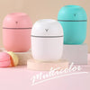 Wild Essentials | Mini Cool Diffuser/Humidifier and Nightlight