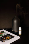 Ceramic Stone Aromatic Diffuser: White